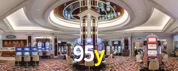 95y,95y.com